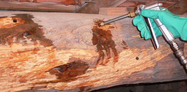 Comment se dÃ©barrasser des ennemis du bois ?